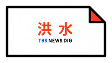 situs judi online24jam terpercaya 2020 = Tangkapan layar berita KBS 2TV] aplikasi judi terpercaya